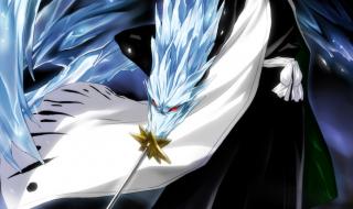 日番谷冬狮郎虚化 日番谷冬狮郎虚化