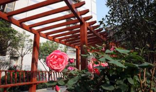 郑州市中招直通车