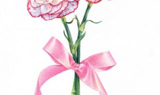 母亲节手工简单礼物有哪些 母亲节图片简单好画